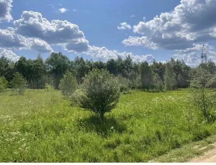 Участок в Московская область, Солнечногорск городской округ, д. ... - Фото 2