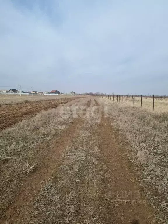 Участок в Волгоградская область, Дубовка ул. Имени Шолохова (6.7 сот.) - Фото 2