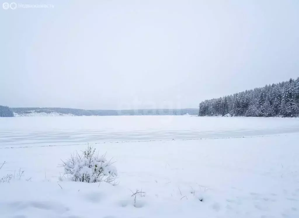 Участок в Пермский муниципальный округ, деревня Карасье, Ясная улица ... - Фото 2