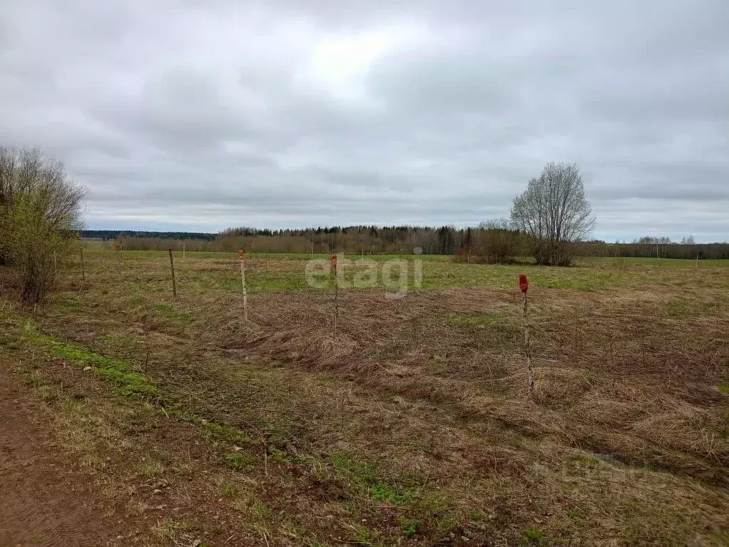 Участок в Вологодская область, Шекснинский муниципальный округ, д. ... - Фото 1