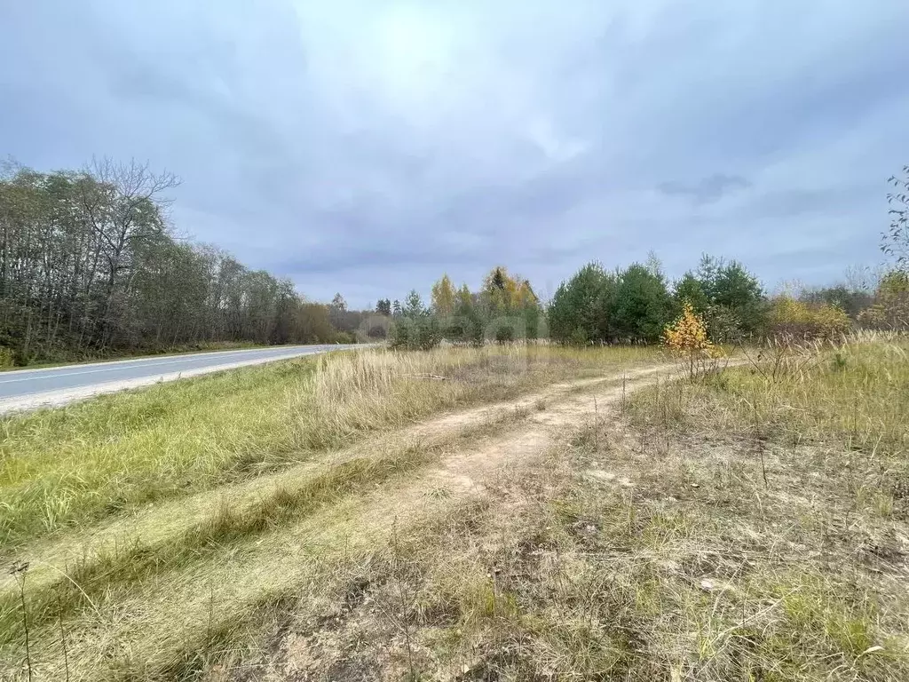 Участок в Псковская область, Себеж городское поселение, д. Затурье  ... - Фото 1