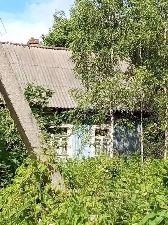 Дом в Смоленская область, Ельнинский муниципальный округ, д. Леоново  ... - Фото 1