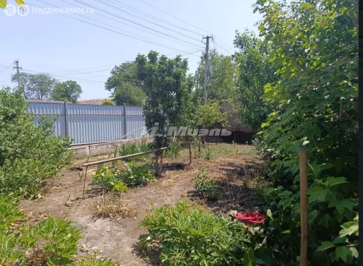 Участок в Урожайное, Весёлая улица (18 м) - Фото 1