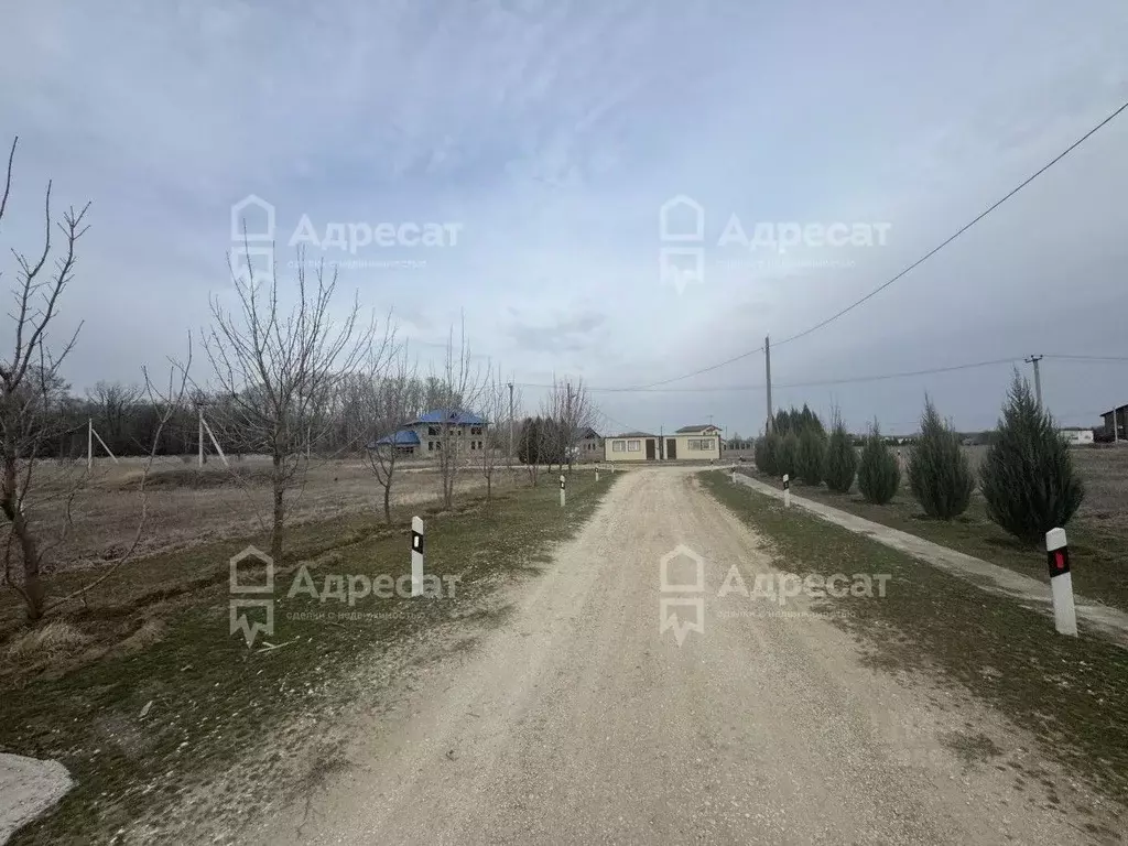 Участок в Волгоградская область, Среднеахтубинский район, Красное ... - Фото 1