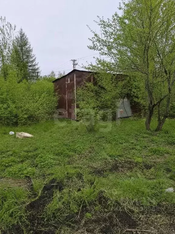 Участок в Тюменская область, Ялуторовский муниципальный округ, ... - Фото 1