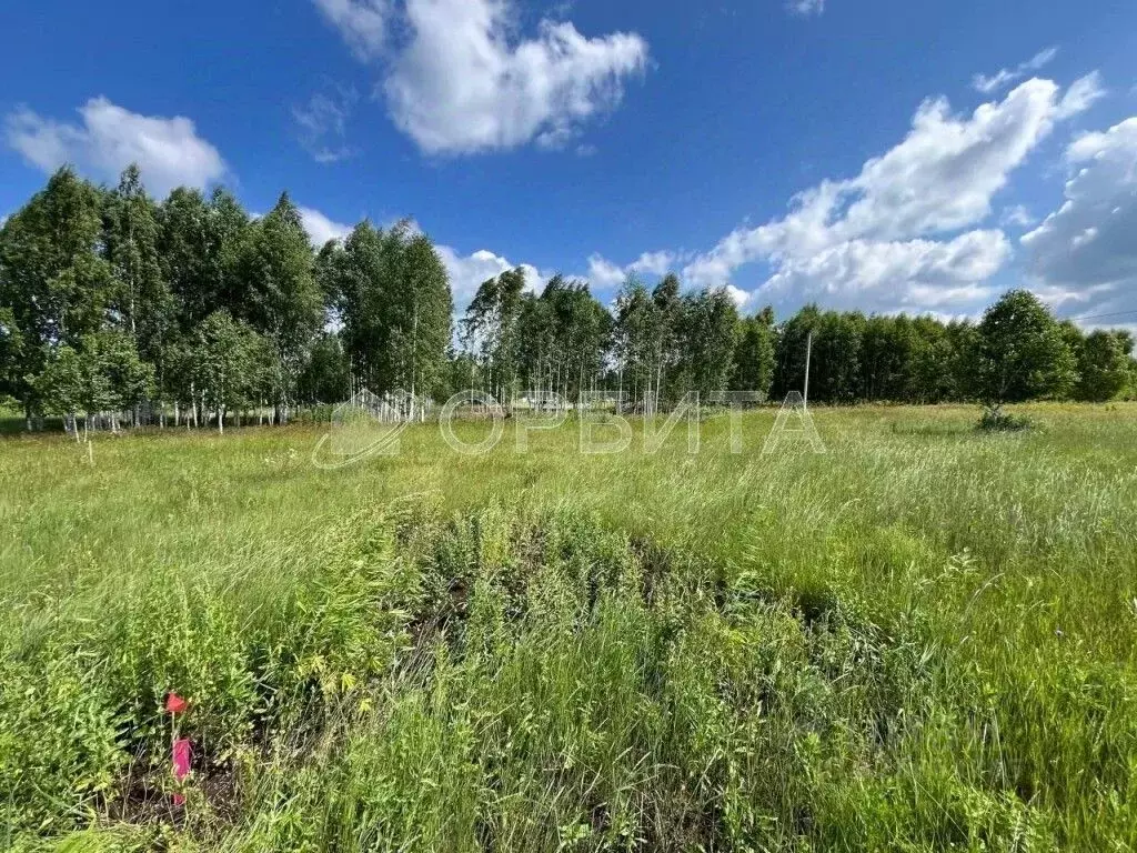 Участок в Тюменская область, Нижнетавдинский муниципальный округ, ... - Фото 1