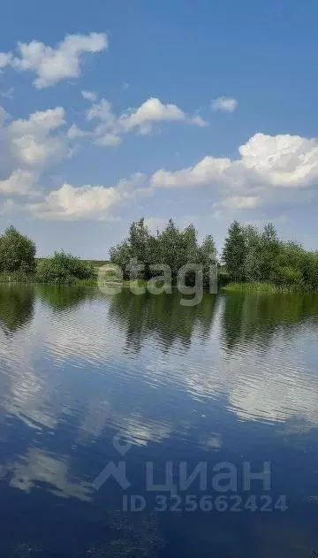 Участок в Новосибирская область, Новосибирский район, Морской ... - Фото 1