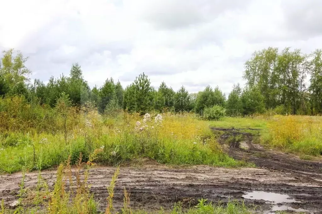 Участок в Тюменская область, Тюмень  (6.8 сот.) - Фото 1