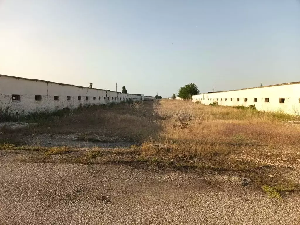 Помещение свободного назначения в Волгоградская область, Светлоярский ... - Фото 1