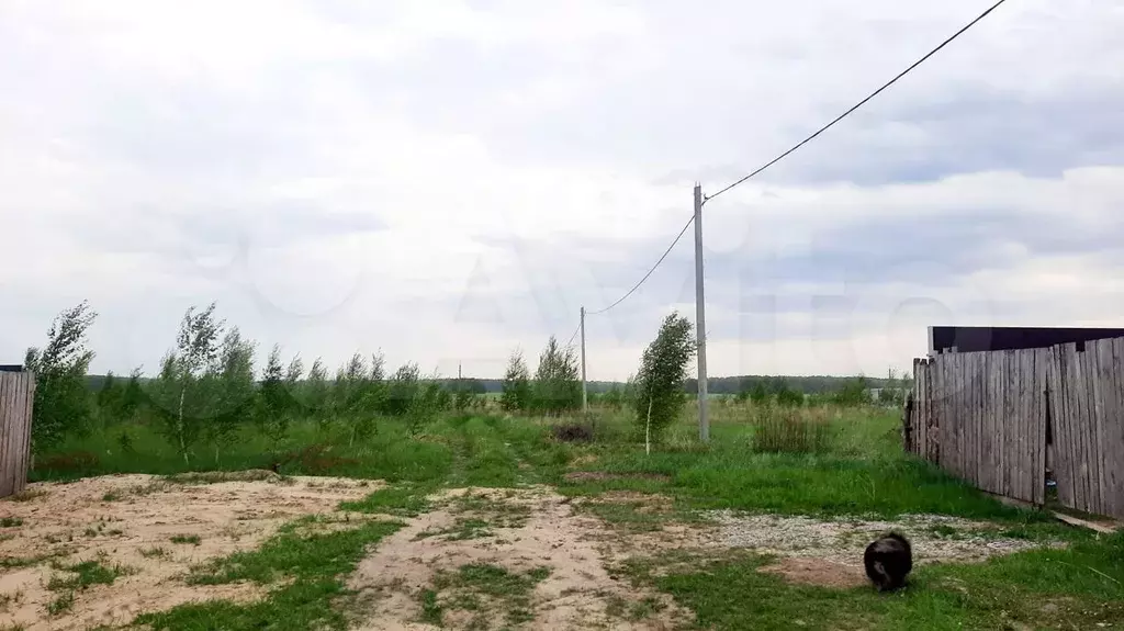 Муромский земельный. Муром д. Ковардицкий лес муром. Муромский земельный. Муромский земельный.