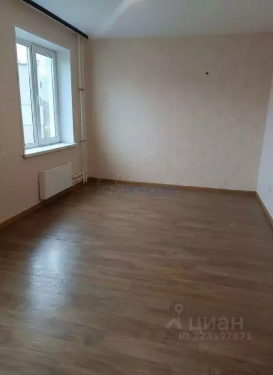 2-к кв. Нижегородская область, Богородский муниципальный округ, с. ... - Фото 2