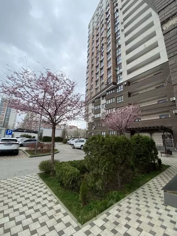 Студия Краснодарский край, Анапа ул. Толстого, 130к2 (24.5 м) - Фото 2