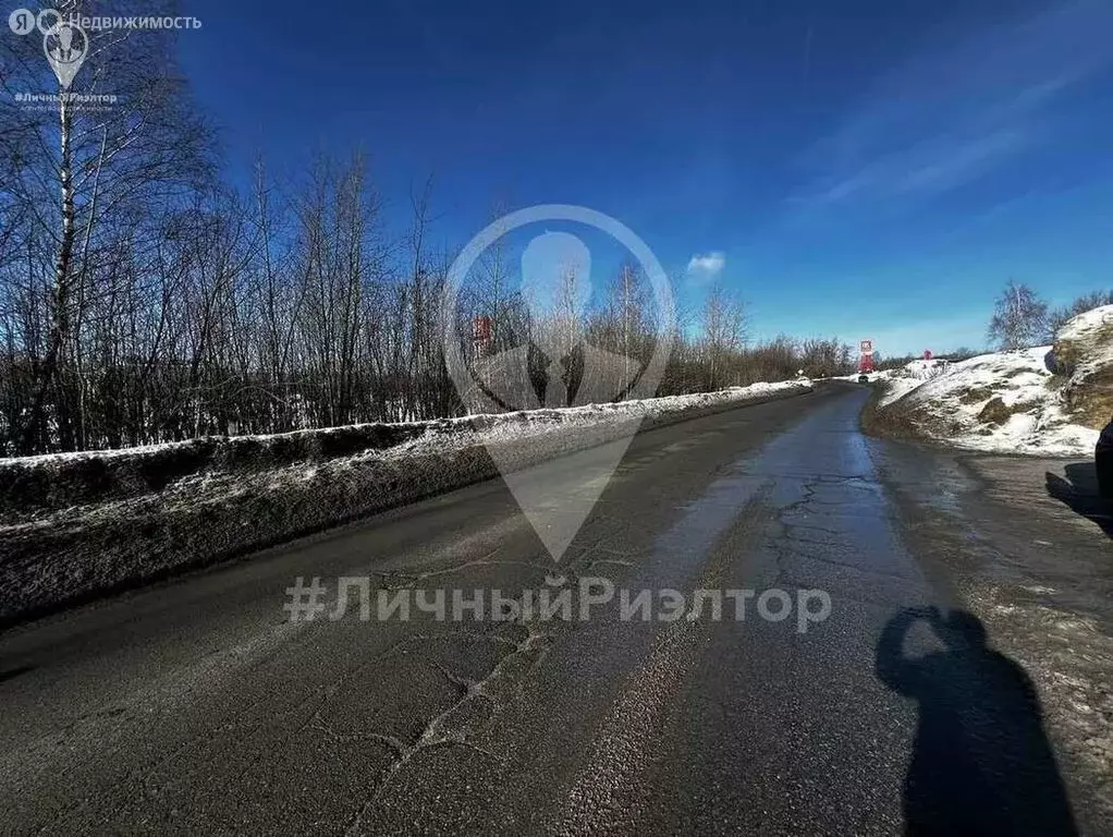 Участок в Рязанская область, Пронский муниципальный округ, посёлок ... - Фото 1