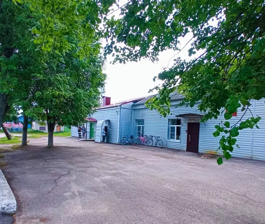 Помещение свободного назначения в Ярославская область, Некрасовский ... - Фото 1