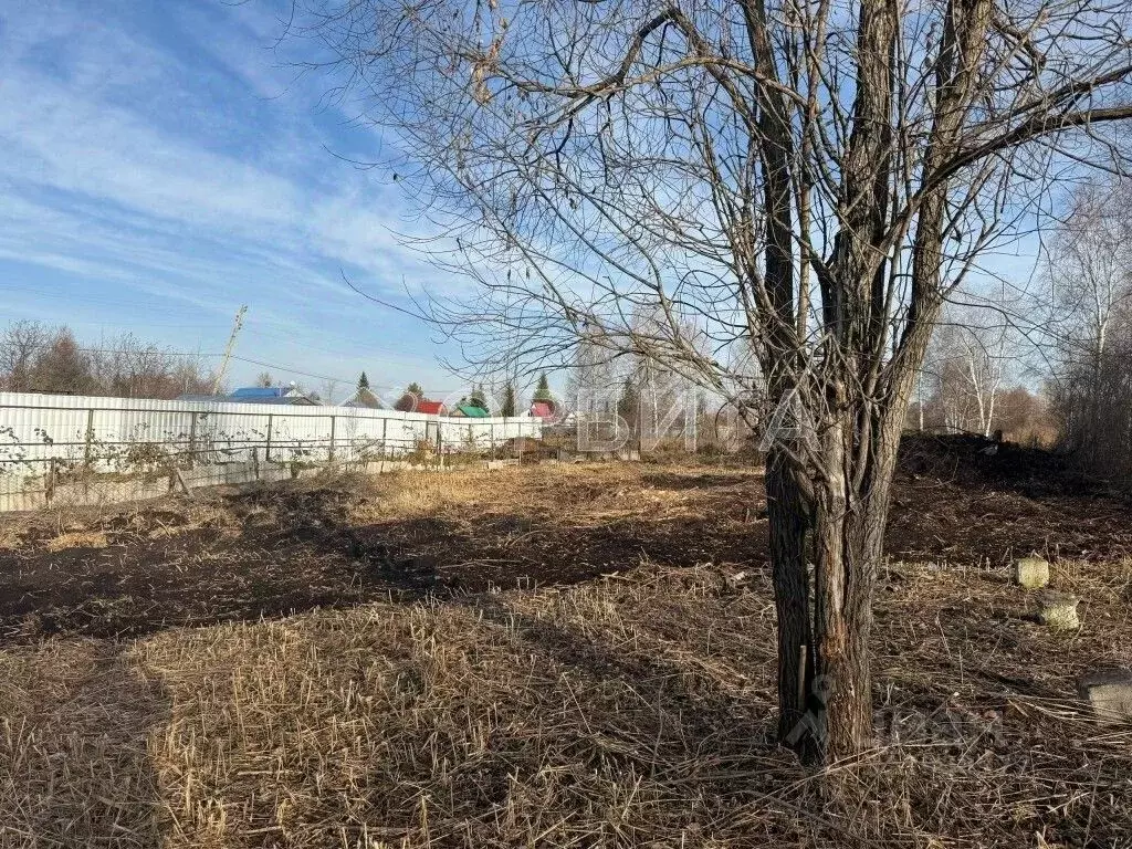 Участок в Тюменская область, Нижнетавдинский муниципальный округ, ... - Фото 2