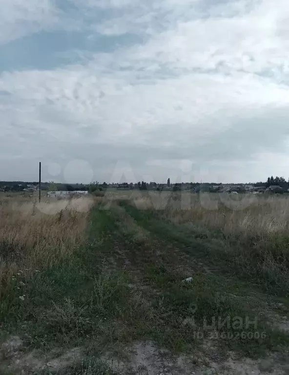 Участок в Тамбовская область, Тамбовский муниципальный округ, д. ... - Фото 1