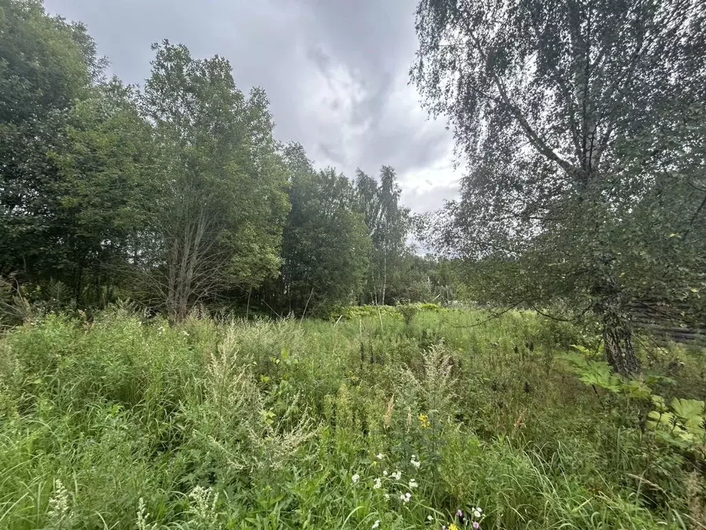 Участок в Московская область, Можайский муниципальный округ, Бестужево ... - Фото 1