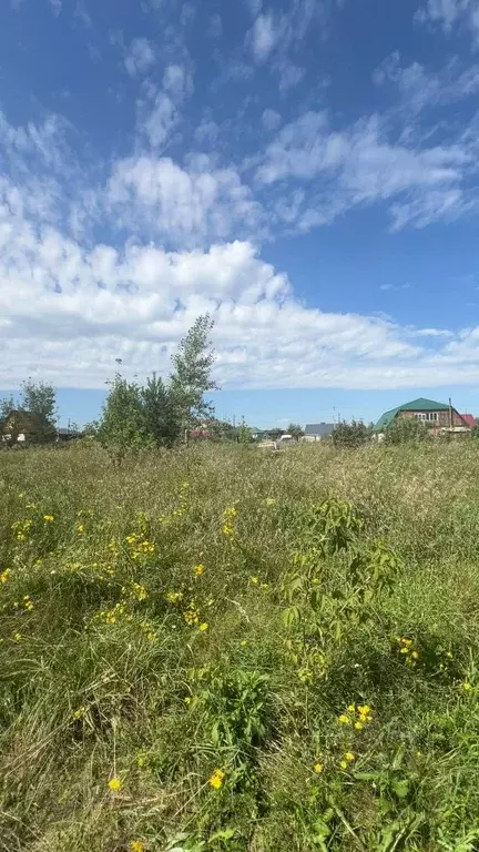 Участок в Алтайский край, Барнаул городской округ, пос. Бельмесево ул. ... - Фото 0