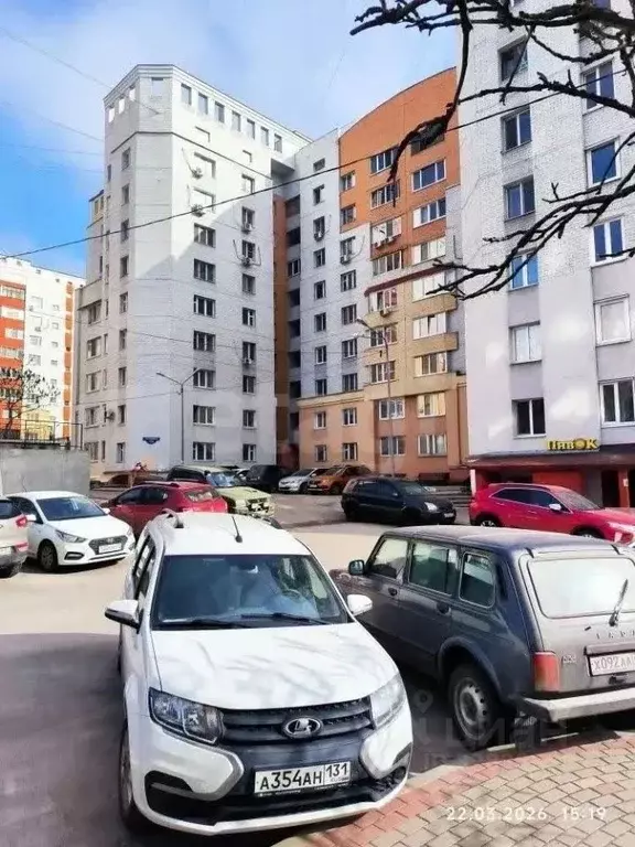 Торговая площадь в Белгородская область, Белгород ул. Губкина, 15в (78 ... - Фото 2