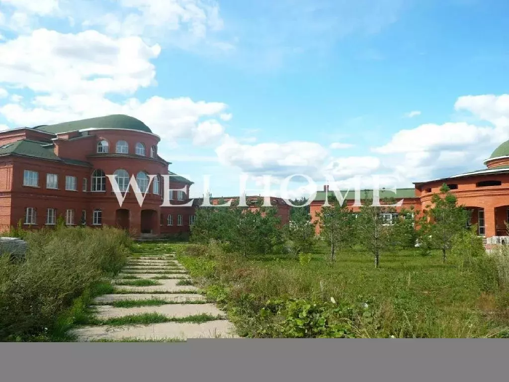 Продается дом в д. Тимошкино - Фото 2