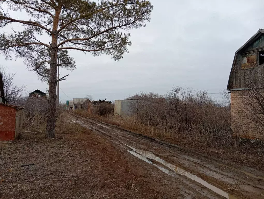 Участок в Оренбургский район, Экспериментальный сельсовет, СНТ Сулак ... - Фото 1