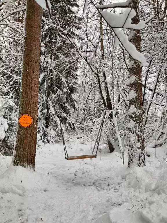 Дом в Ленинградская область, Выборгский район, Первомайское с/пос, ... - Фото 2