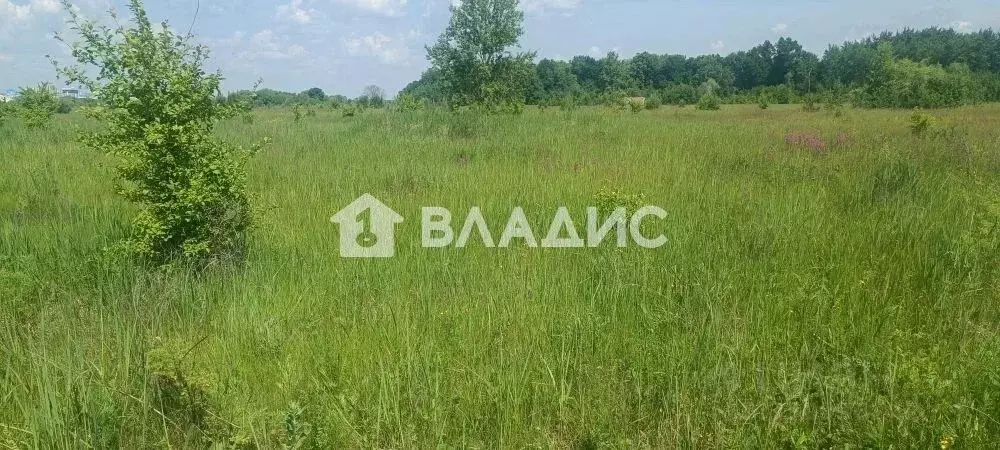 Участок в Пензенская область, Пенза Барковка мкр,  (9.95 сот.) - Фото 0