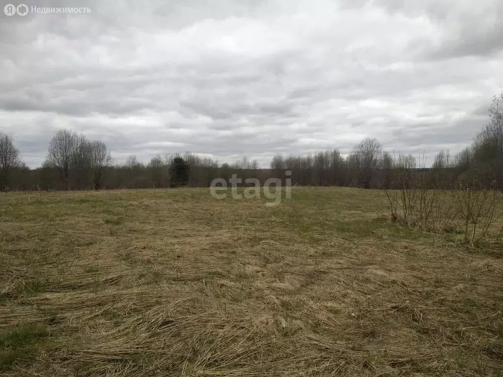 Участок в Новгородская область, село Мошенское (10 м) - Фото 0