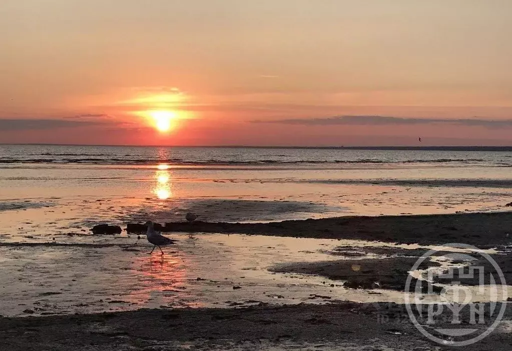Дом в Санкт-Петербург, Санкт-Петербург, Сестрорецк Парковая ул., 8А ... - Фото 2