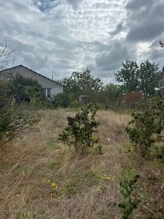 Участок в Крым, Феодосия муниципальный округ, Буревестник дп ул. ... - Фото 1