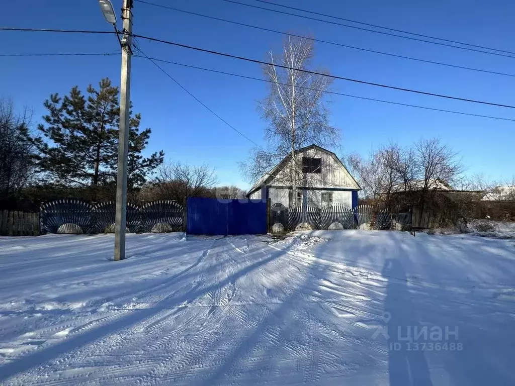 Дом в Амурская область, Благовещенский район, с. Гродеково Зеленая ул. ... - Фото 1