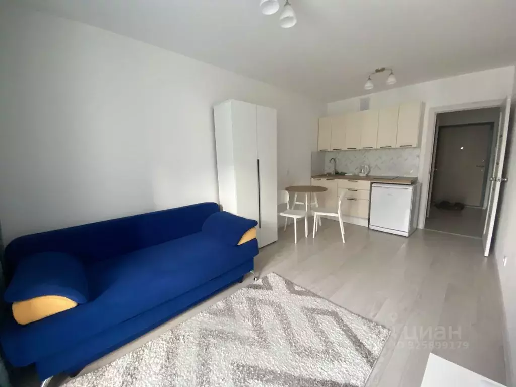 Студия Свердловская область, Екатеринбург ул. Евгения Савкова, 23/2 ... - Фото 1