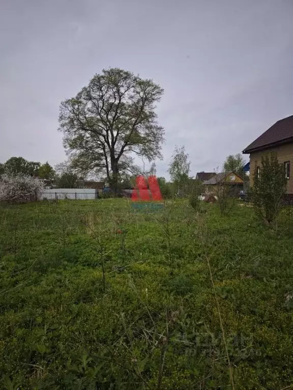 Участок в Ярославская область, Тутаев ул. Панина (12.0 сот.) - Фото 1