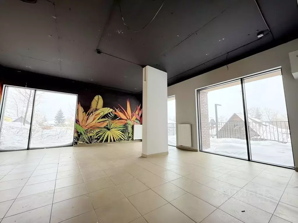 Офис в Новосибирская область, Новосибирск Большевистская ул., 132 (80 ... - Фото 1