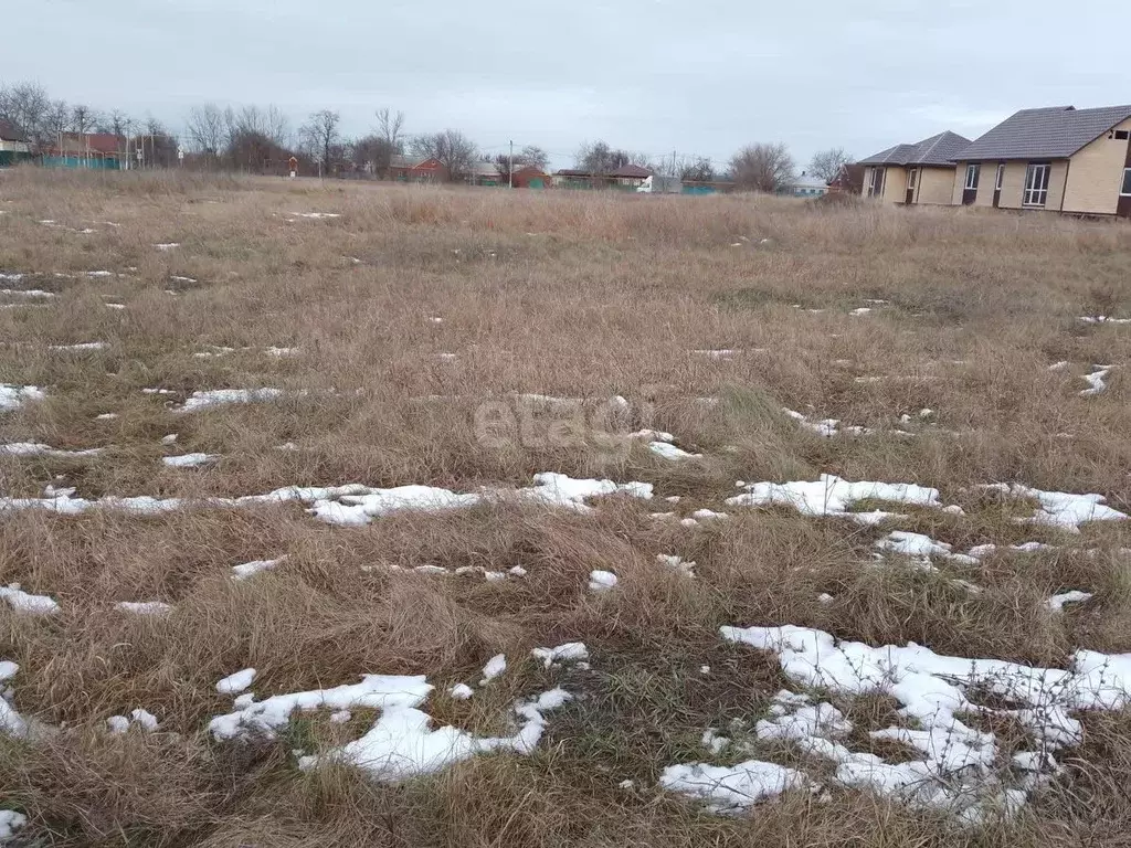 Участок в Краснодарский край, Ейский район, Кухаривское с/пос, ... - Фото 1
