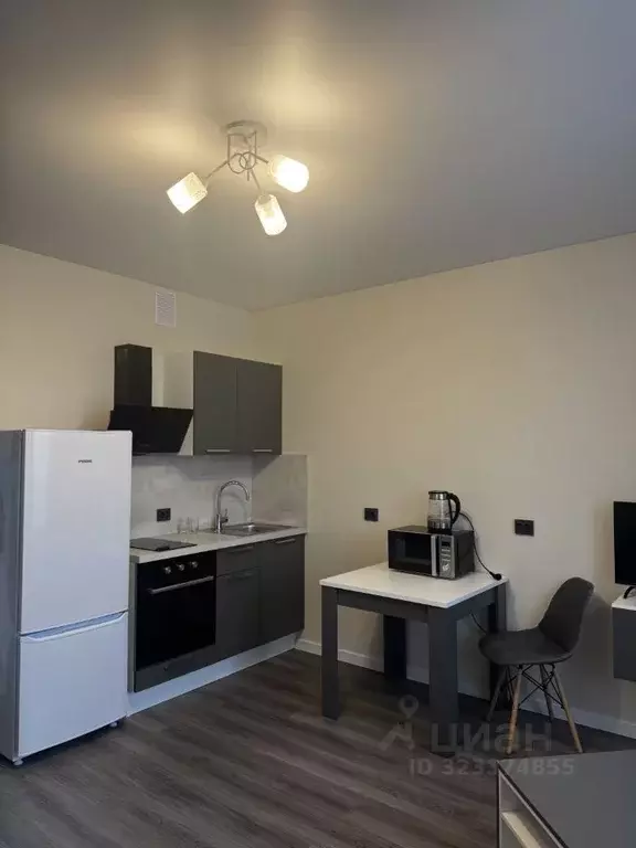 Студия Санкт-Петербург просп. Ветеранов, 210 (24.6 м) - Фото 1