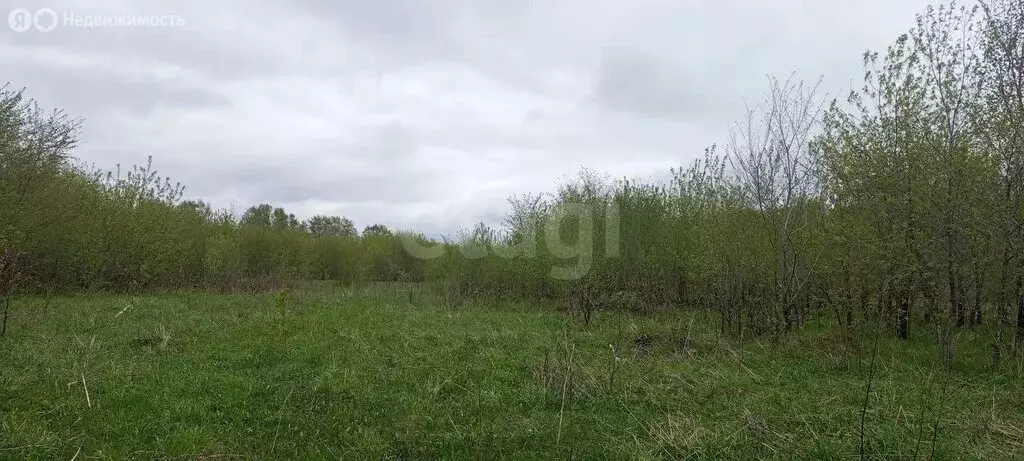 Участок в посёлок Пригородный, Сосновая улица (9 м) - Фото 1