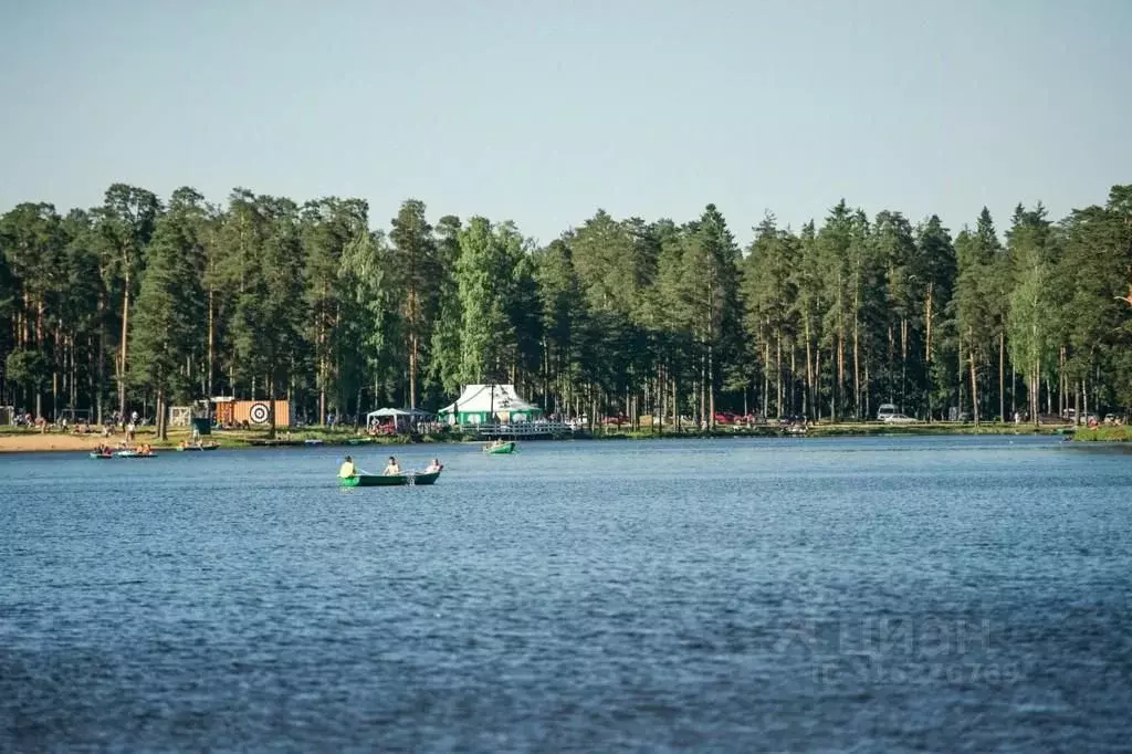 Участок в Ленинградская область, Всеволожский район, Колтушское ... - Фото 2