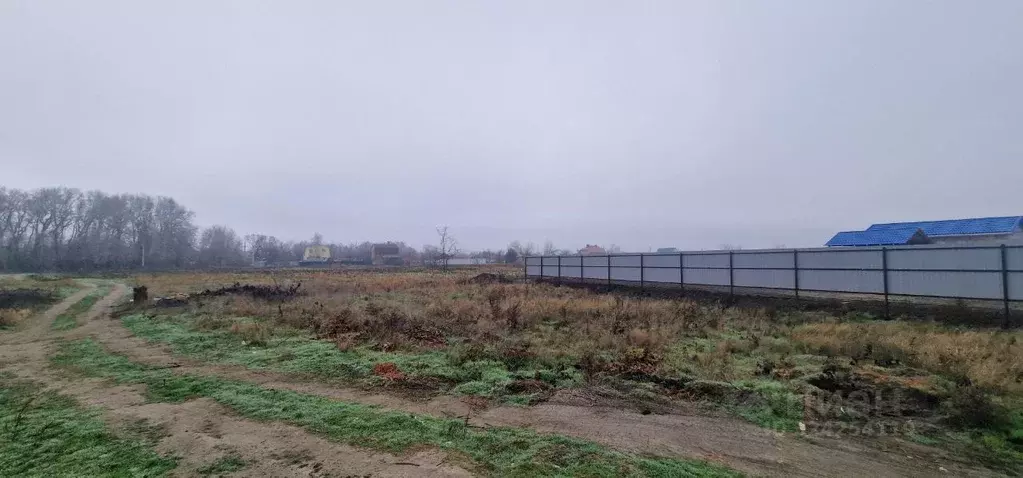 Участок в Ростовская область, Багаевское с/пос, Орион СНП  (6.0 сот.) - Фото 2