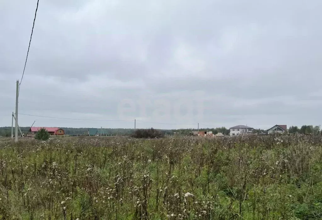 Участок в Костромская область, Красносельский район, Шолоховское ... - Фото 0
