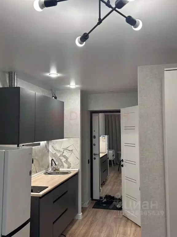 Студия Ростовская область, Ростов-на-Дону просп. Ленина, 81/8 (18.0 м) - Фото 2