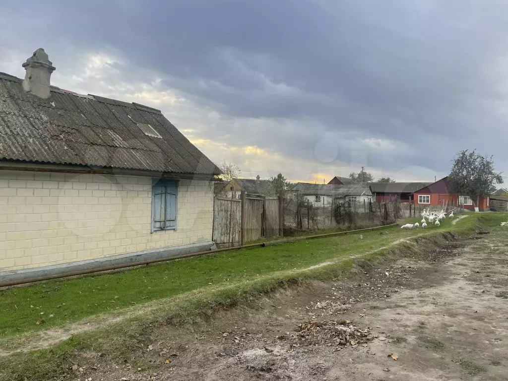 Дом 40 м на участке 9 сот. - Фото 1