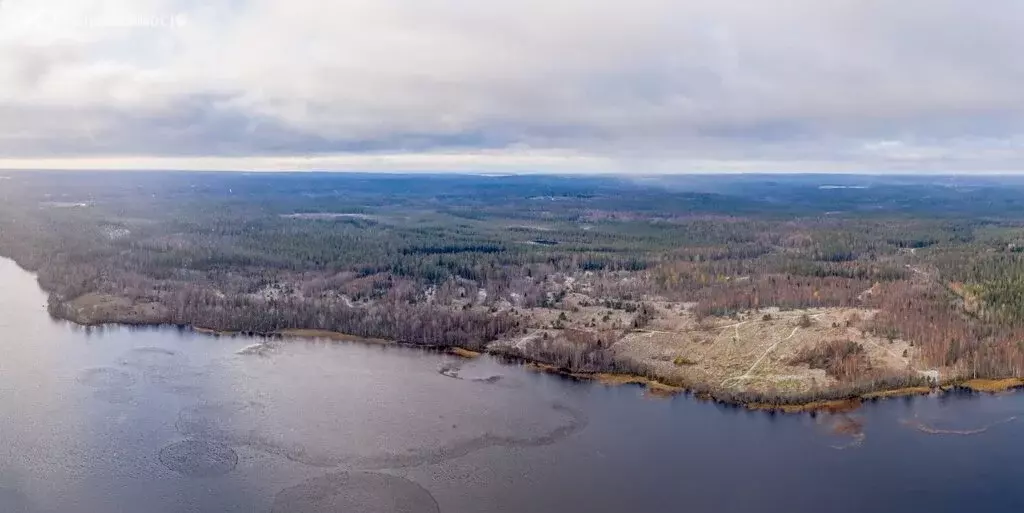Участок в Республика Карелия, Питкярантский муниципальный округ, ... - Фото 2