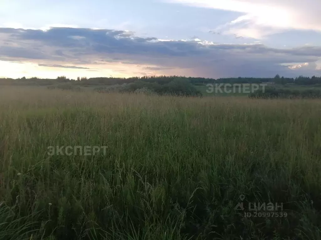 Участок в Новгородская область, Новгородский район, Ракомское с/пос, ... - Фото 0