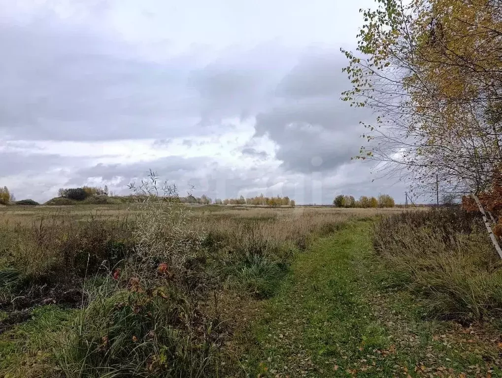 Участок в Калужская область, Боровский муниципальный округ, ... - Фото 2