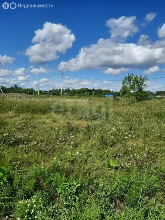 Участок в Смоленский район, Верх-Обский сельсовет, село Иконниково, ... - Фото 1