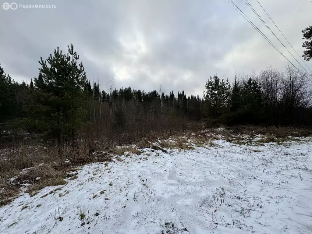 Участок в Гирсовское сельское поселение, СДТ Политехник-2, 30 (13.5 м) - Фото 2