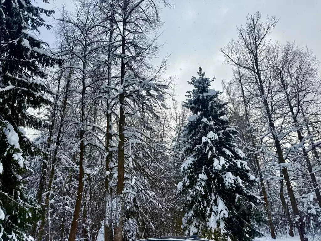 Участок в Московская область, Одинцовский городской округ, пос. ... - Фото 1