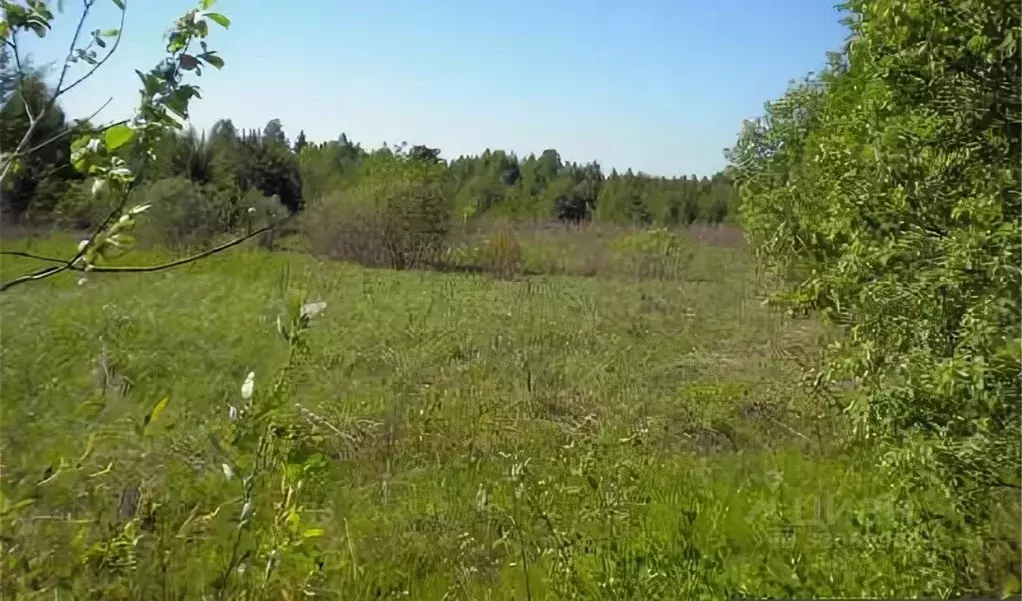 Участок в Ярославская область, Переславль-Залесский муниципальный ... - Фото 1