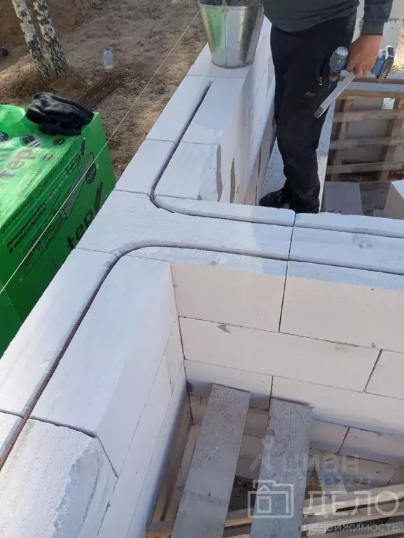 Дом в Рязанская область, Рыбновский муниципальный округ, с. Алешня  ... - Фото 2